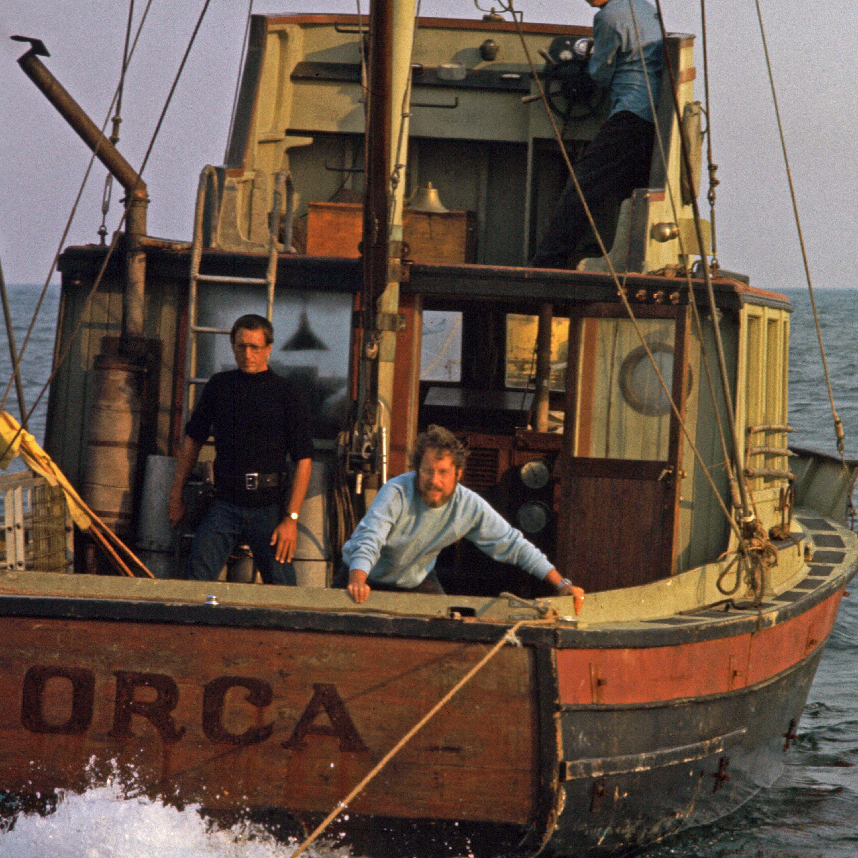 Orca in Jaws: The Legacy Behind the Details